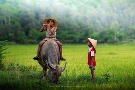 Việt nam đang chứng kiến thay đổi nhanh về cơ cấu dân số và xã hội. Hình Ảnh Đẹp Nên Thơ Về Làng Quê Việt Nam Thanh Bình - Ảnh Đẹp