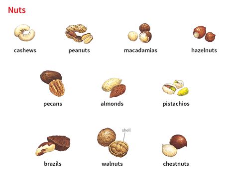Nut1 Noun Definition Pictures Pronunciation And Usage Notes