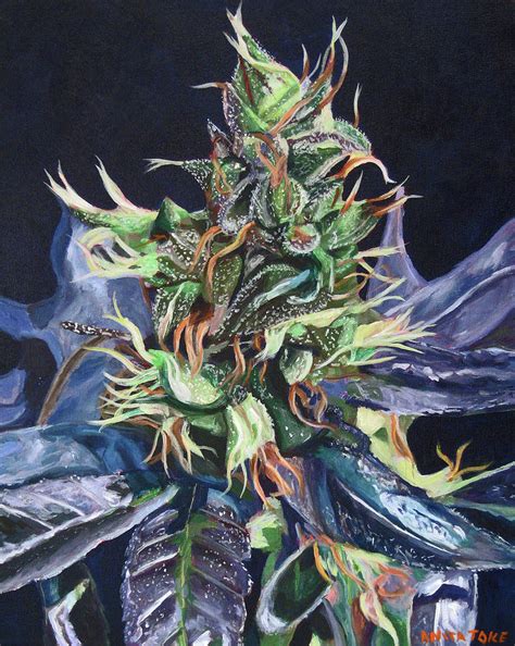 Best Weed Art For The Cannabis Connoisseur Mistifi