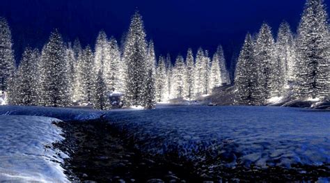 Cool Winter Forest Christmas Wallpaper Images