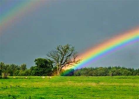Lovable Images Beautiful Rainbow Wallpapers Free Download