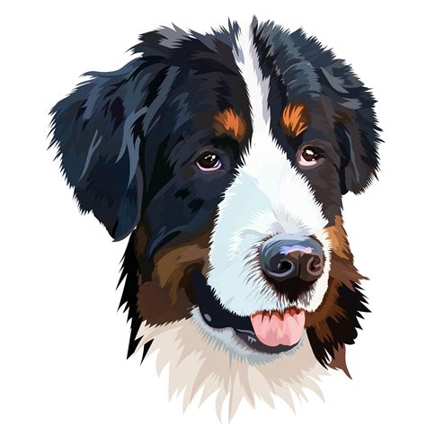 Custom Dog Portrait Bernese Mountain Dog Digital Drawing Etsy