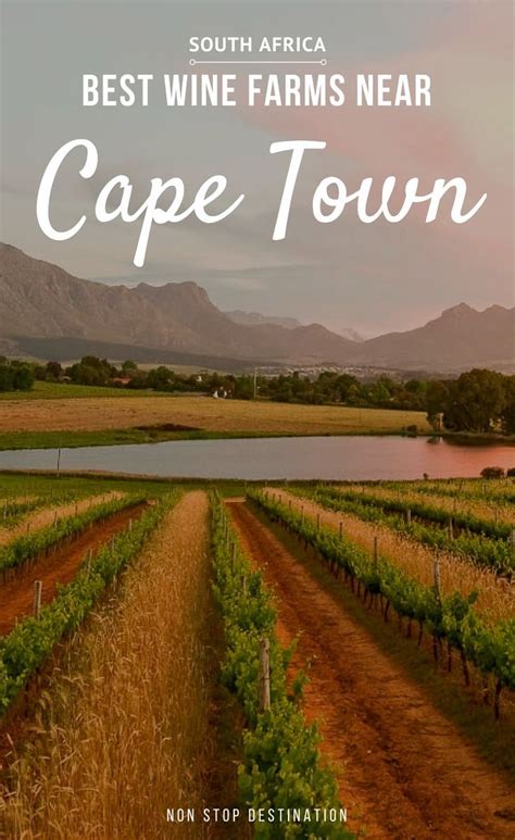 My Favourite Wine Farms Near Cape Town Non Stop Destination Africa