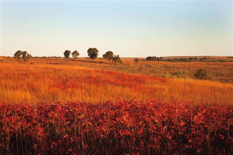 What's left of the tallgrass prairie — High Country News - Know the West