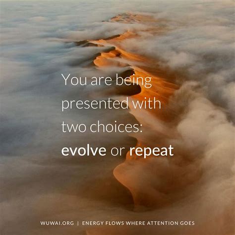 Https://tommynaija.com/quote/evolve Or Repeat Quote