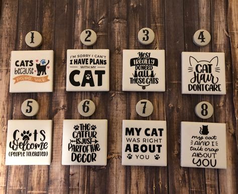 Funny Cat Magnets Cat Lover Magnets Cat Refrigerator Etsy