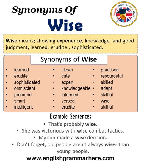 Synonyms Of Wise, Wise Synonyms Words List, Meaning and Example ...