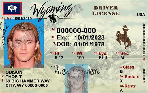 Drivers License Templates Archives Page 5 Of 5 Idviking Best