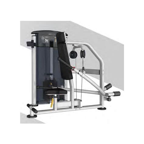 Commercial It9517 Tricep Press At Rs 195000 In Delhi Id 26268458255
