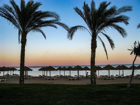 Costa Costa En Sharm El Sheikh Egipto Sina Del Mar Rojo Imagen De Archivo Imagen De