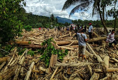 Banjir Bandang Walhi Ungkap Dalang Illegal Logging Di Sigi Media