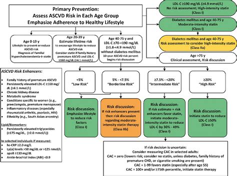 2019 Accaha Guideline On The Primary Prevention Of Cardiovascular