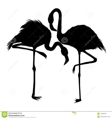 Vector File Of Flamingo Stock Vector Illustration Of
