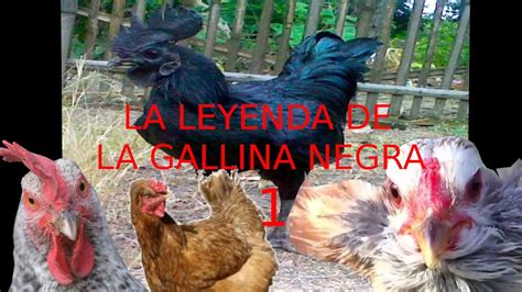 La Leyenda De La Gallina Negra Pt1🐔 18 Youtube