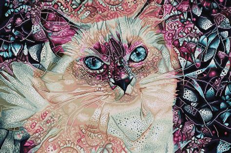 Pink Ragdoll Cat Diamond Art Club