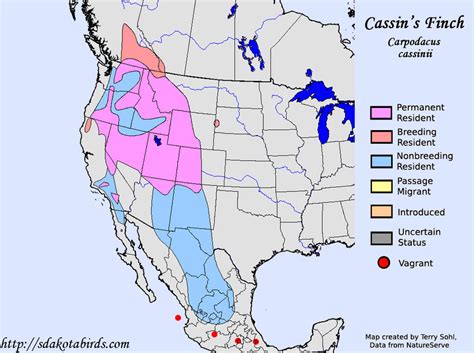Cassins Finch Species Range Map