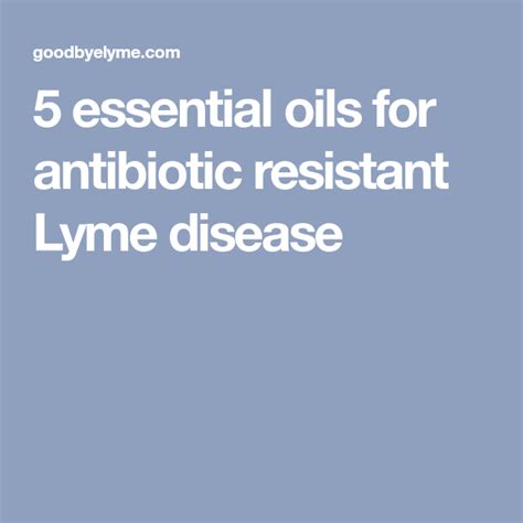 5 Essential Oils For Antibiotic Resistant Lyme Disease Lyme Disease