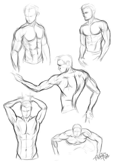 male body drawing anatomy sketches human body art