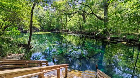 The Best Florida Theme Parks Are Its Outdoors