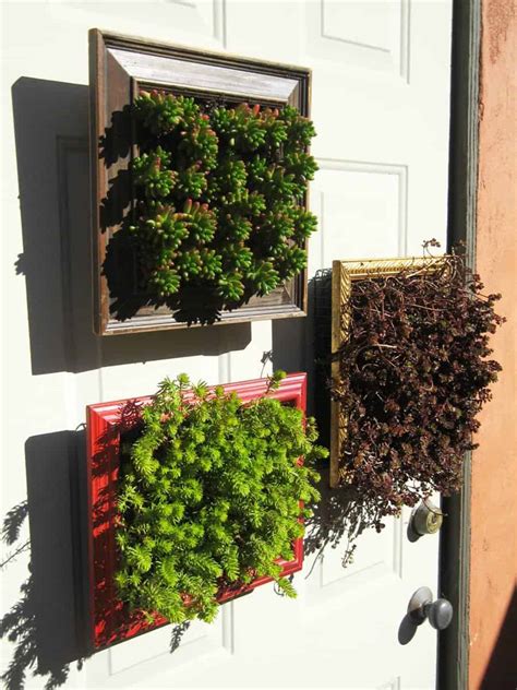 Check spelling or type a new query. Vertical Planters from Repurposed Picture Frames • Recyclart