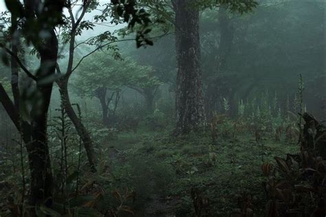 Pin By Valentina On In 2021 Forest Aesthetic Dark Naturalism