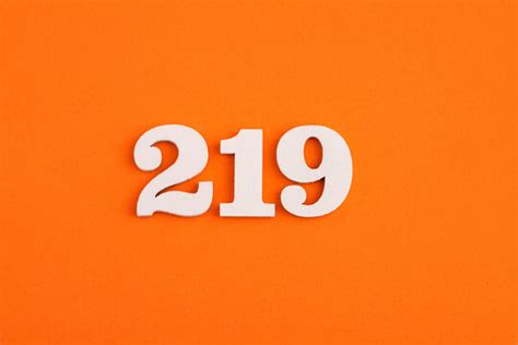 Number 219 Images Browse 8 Stock Photos Vectors And Video Adobe