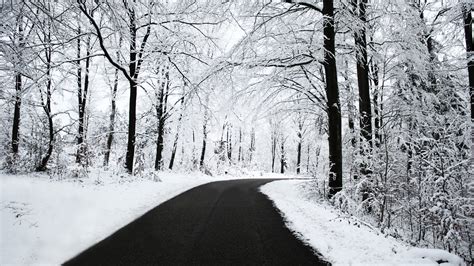 Free Download Winter Road Wallpapers Hd Wallpapers 1920x1080 For Your