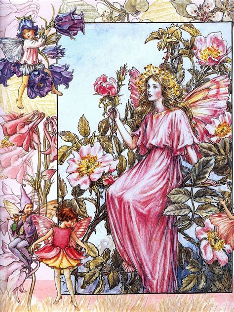 Cicely Mary Barker 18951973 The Wild Rose Fairy Summer Fairy