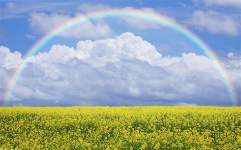 Blue Sky Rainbow Wallpapers Wallpaper Cave