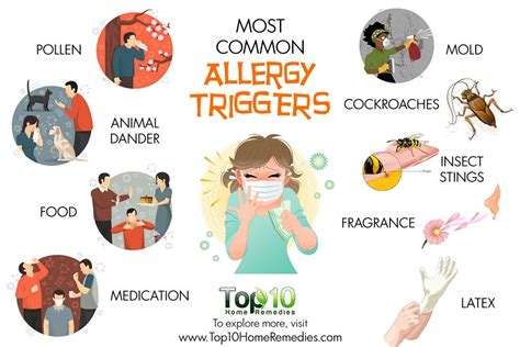 가장 흔한 알레르기 유발 원인 10 가지