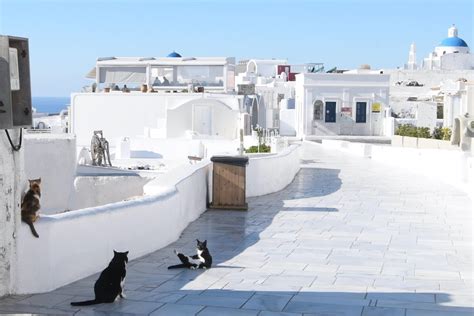 Naked Santorini Experience The Island When Tourists Are Gone The