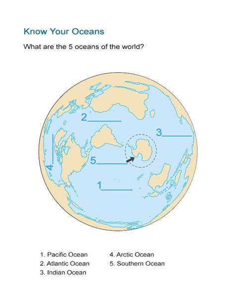 Know Your Oceans Worksheet Can You Find The 5 Oceans Of The World