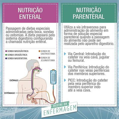 Diferença Entre Nutrição Enteral E Parenteral ENSINO