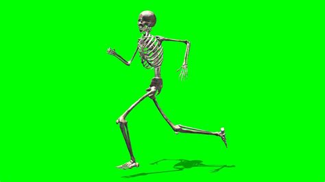 Running Skeleton Green Screen Free Use Youtube