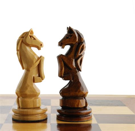 Two Chess Horse Human Invest