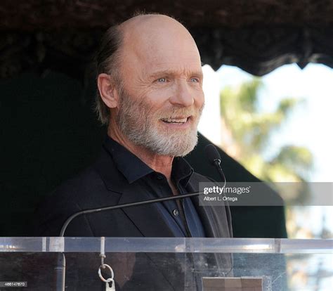 actor ed harris is honored with a star on the hollywood walk of fame news photo getty images