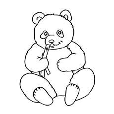 top   printable cute panda bear coloring pages