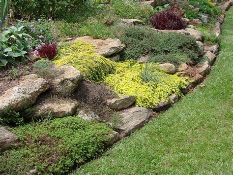 In fact, rock gardens are gaining popularity, as they can bring a modern element to landscaping and be used in a variety of contexts. Glamorous Rock Gardens! - Networx