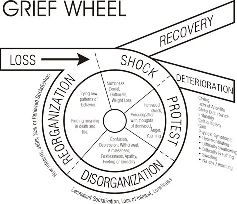 Stages Of Grief Timeline