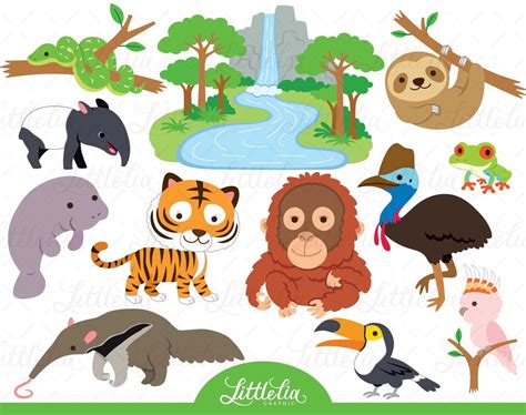 Rainforest Animals Clipart