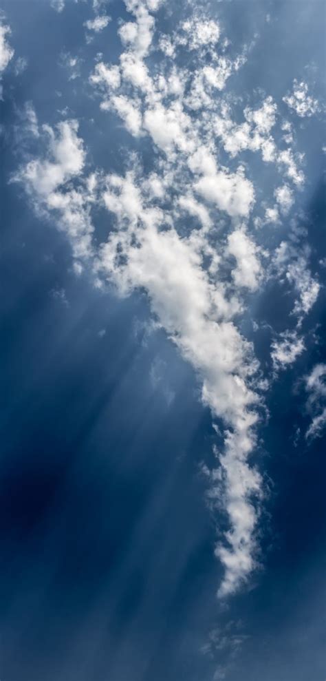 รูปภาพ ขอบฟ้า เบา เมฆ ท้องฟ้า แสงแดด Cumulus สีน้ำเงิน
