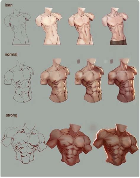Poses Muscular Male Body Drawing There Are Three Video Tutorials In