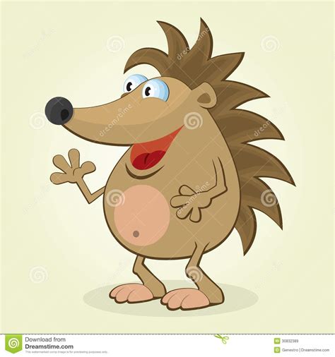 Hedgehog Royalty Free Stock Images Image 30832389