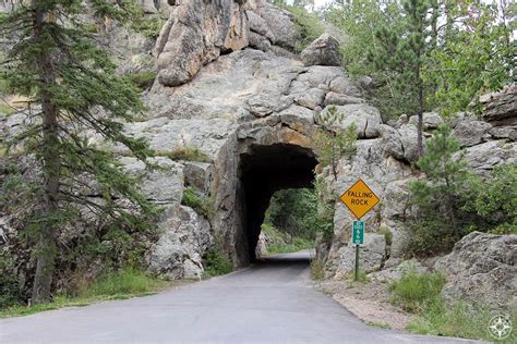 Custer State Park And The Amazing Needles Highway South Dakota
