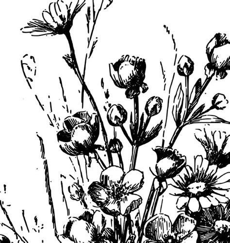 Free Clipart Wildflowers 10 Free Cliparts Download Images On