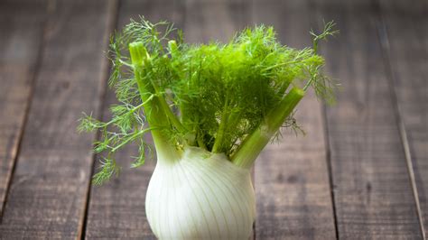 Fenchel schneiden So funktioniert es