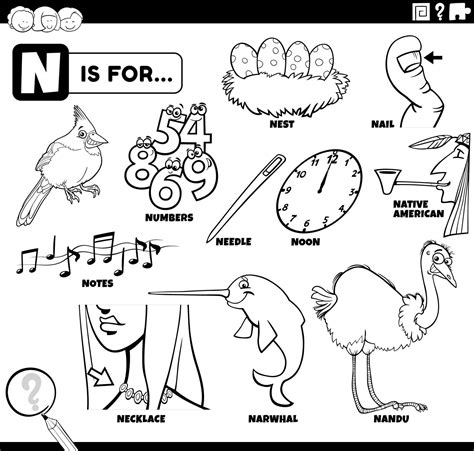 Letter N Words Educational Set Coloring Book Page 7456135 Vector Art At