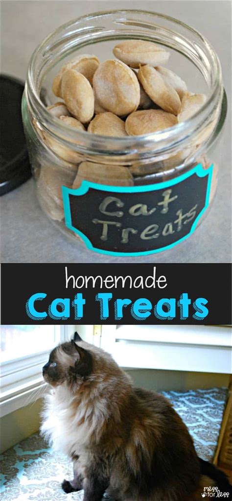 I have been looking for hours for a truly home made cat food for kinja (the kitty ninja) and you give a great recipie, how to, and a book to get more ideas with. Homemade Cat Treats Recipe - Mess for Less
