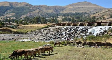 Conoce Las 8 Regiones Naturales Del Perú Región Suni Aprendizaje