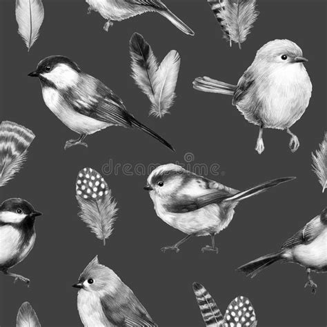 Cute Little Bird Pencil Drawing Print Illustration Groups Of Birds